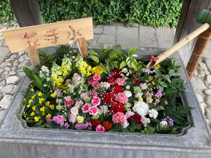 於菊稲荷神社の手水舎