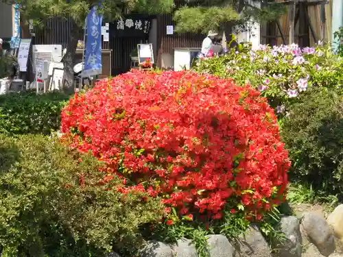 鶴岡八幡宮の庭園