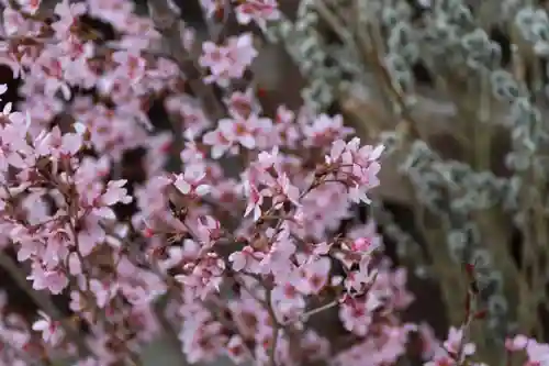 阿邪訶根神社の授与品その他