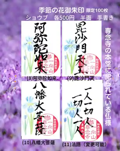 専念寺の御朱印