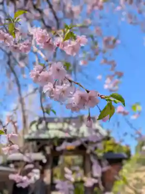 福蔵院(東京都)