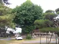 養照寺(富山県)