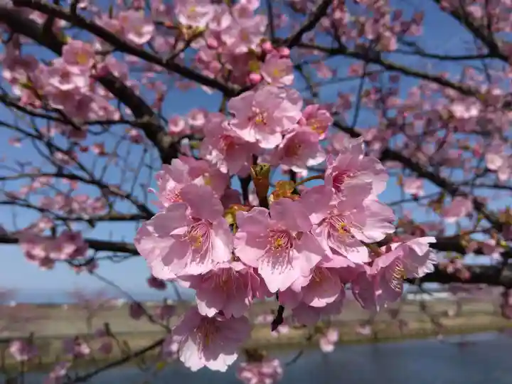 笠松八雲神社(三重県)