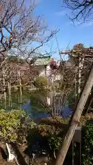 亀戸天神社の庭園