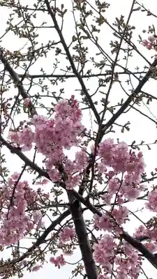 車折神社(京都府)