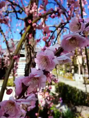 常性寺(東京都)