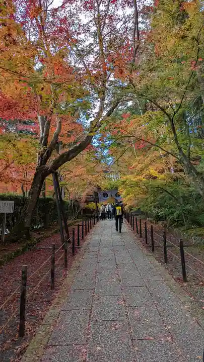 光明寺(粟生光明寺)(京都府)