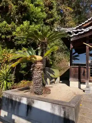 貴布禰神社の自然