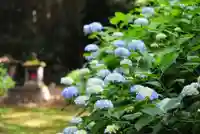 浄土寺(兵庫県)