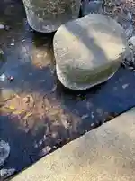 八耳堂(埼玉県)