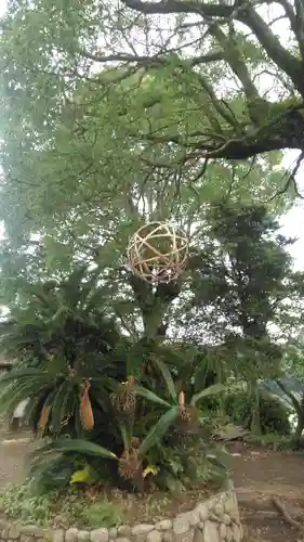 願成就寺の自然