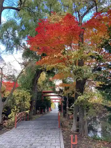 永山神社の自然