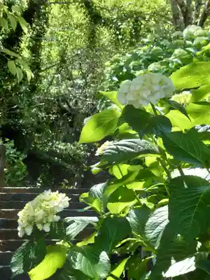 長谷寺(神奈川県)