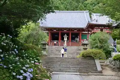 矢田寺の本殿・本堂