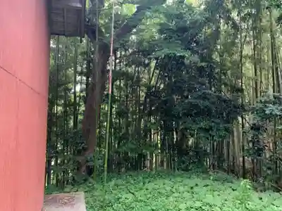 水神社(千葉県)