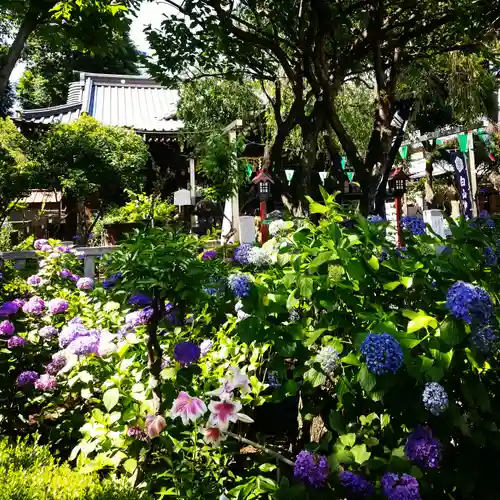 白山神社の庭園