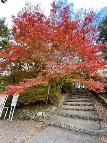 出雲大神宮の庭園