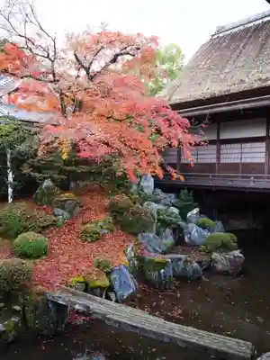 醍醐寺(京都府)