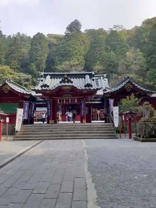 箱根神社の本殿・本堂