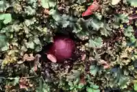 成田山大照寺(北海道)