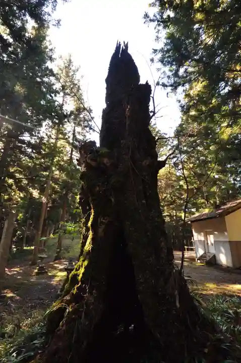 三瀧神社(愛媛県)