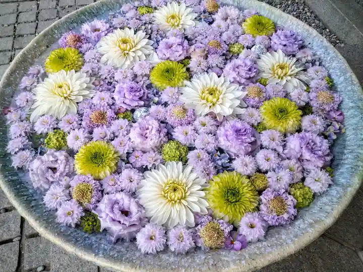 行田八幡神社(埼玉県)