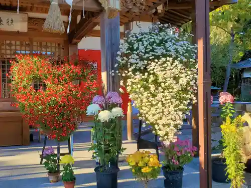 淡河八幡神社の自然