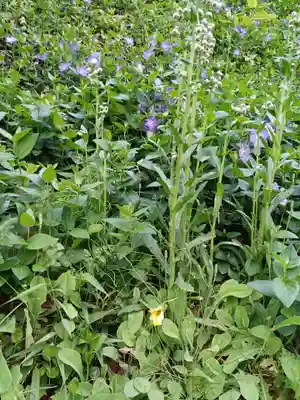 白狐山光星寺(山形県)