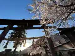 山家神社の鳥居