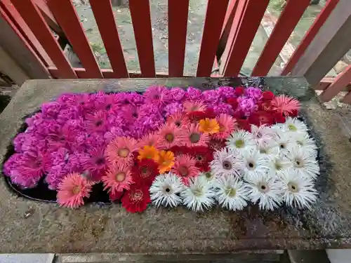 白山神社(新潟県)