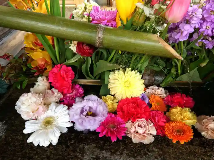 勝林寺(京都府)