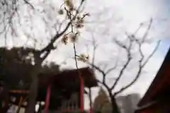 花園神社の自然