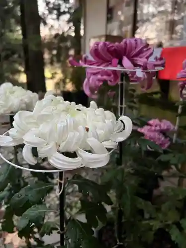 大宮温泉神社(栃木県)