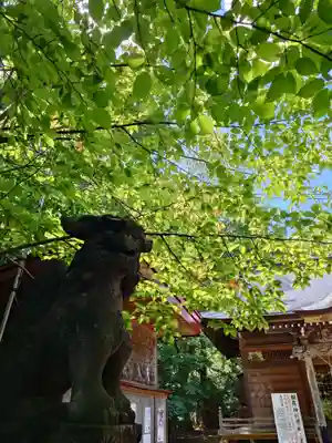 相馬神社の狛犬