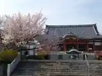 一畑山薬師寺 岡崎本堂(愛知県)