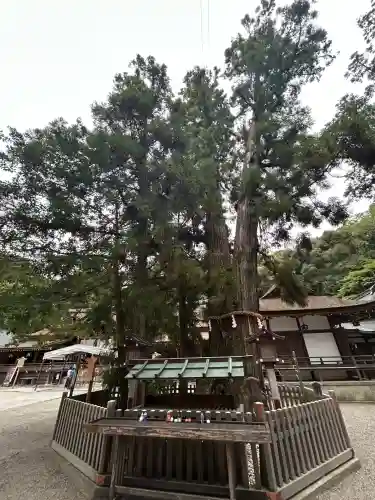 大神神社(奈良県)
