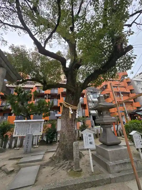 東高津宮の{uncategorized: "未分類", other: "その他", undefined: "問題あり", building: "その他建物", grave: "お墓", sacred_gate: "鳥居", guardian: "狛犬", statue: "像", buddha: "仏像", history: "歴史", nature: "自然", garden: "庭園", animal: "動物", pagoda: "塔", temizu: "手水舎", mountain_gate: "山門・神門", sanctuary: "本殿・本堂", subordinate: "末社・摂社", art: "芸術", scenery: "景色", jizo: "地蔵", ema: "絵馬", goshuin: "御朱印", omikuji: "おみくじ", items: "授与品その他", amulet: "お守り", goshuincho: "御朱印帳", eats: "食事", festival: "お祭り", votive_dance: "神楽", shichigosan: "七五三参", wedding: "結婚式", experience: "体験その他", initially: "初詣", around: "周辺", anti_infection: "感染症対策"}