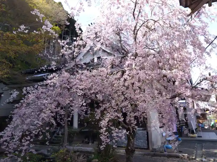 慈眼寺(京都府)