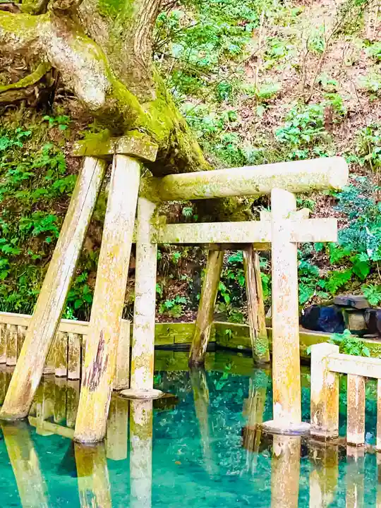 鹿島神宮(茨城県)