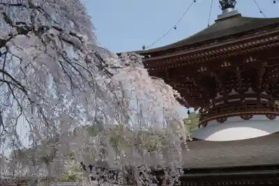金剛寺のその他建物