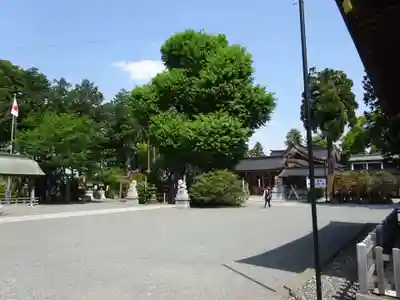 亀ケ池八幡宮のその他建物