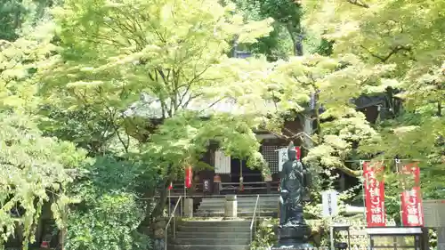 今熊野観音寺(京都府)
