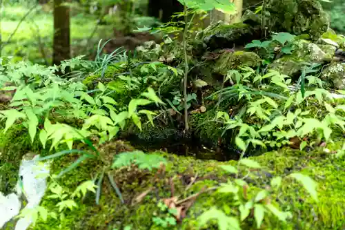 塩野神社(長野県)