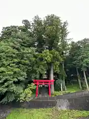 須山浅間神社(静岡県)