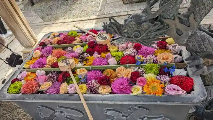 柳谷観音 楊谷寺(京都府)