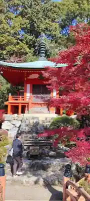 醍醐寺(京都府)