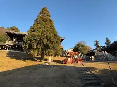 興成神社（東大寺境内社）(奈良県)