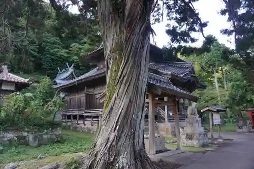 城上神社の自然