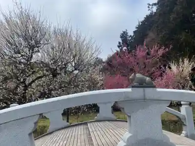 岩津天満宮(愛知県)