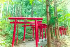 萬蔵稲荷神社の鳥居